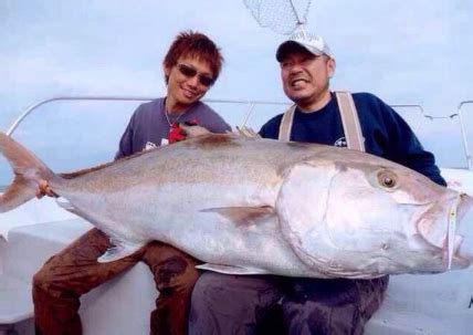 夢見釣到很多魚|夢見釣到很多魚